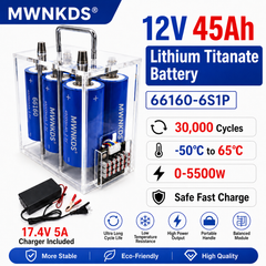 Yinlong 66160 6S1P Battery Pack | Transparent Portable Case | 17.4V 5A Charger Included For Car Start, Outdoor Power, RV, Marine, Solar Storage, Backup Power & DIY Projects