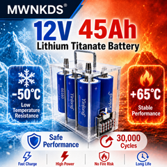 Yinlong 66160 6S1P Battery Pack | Transparent Portable Case | 17.4V 5A Charger Included For Car Start, Outdoor Power, RV, Marine, Solar Storage, Backup Power & DIY Projects