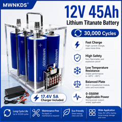 Yinlong 66160 6S1P Battery Pack | Transparent Portable Case | 17.4V 5A Charger Included For Car Start, Outdoor Power, RV, Marine, Solar Storage, Backup Power & DIY Projects