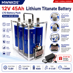 Yinlong 66160 6S1P Battery Pack | Transparent Portable Case | 17.4V 5A Charger Included For Car Start, Outdoor Power, RV, Marine, Solar Storage, Backup Power & DIY Projects