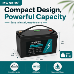 MWNKDS® 12.8V 160Ah LiFePO4 Battery Deep Cycle Lithium Iron Phosphate Battery for RV, Camper, Golf Cart, Off-Road, Off-Grid Solar and Backup Power
