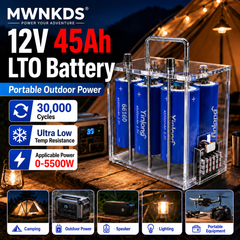 Yinlong 66160 6S1P Battery Pack | Transparent Portable Case | 17.4V 5A Charger Included For Car Start, Outdoor Power, RV, Marine, Solar Storage, Backup Power & DIY Projects